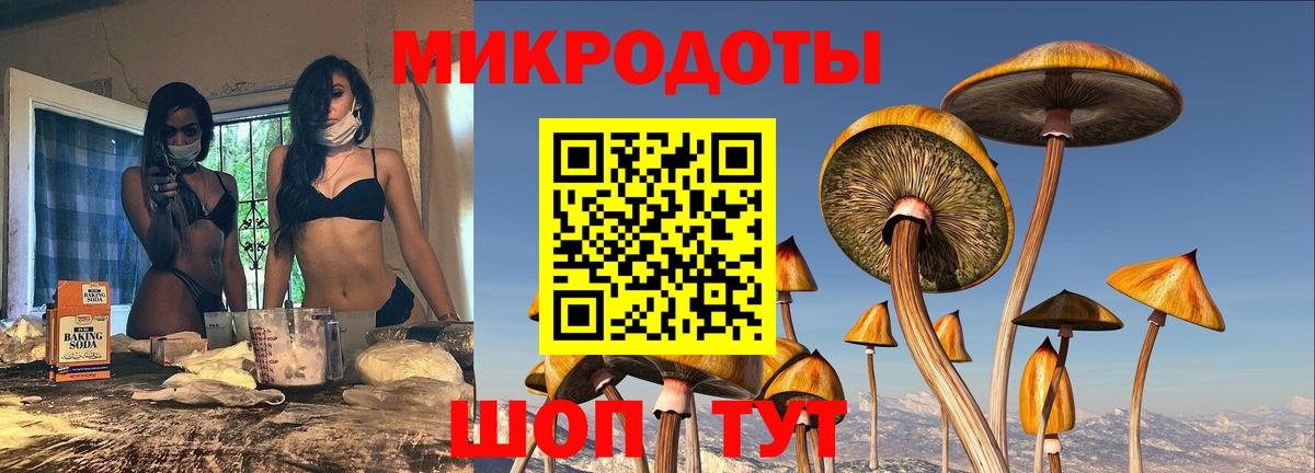 Галлюциногенные грибы мицелий  Вход с VPN  Десногорск 