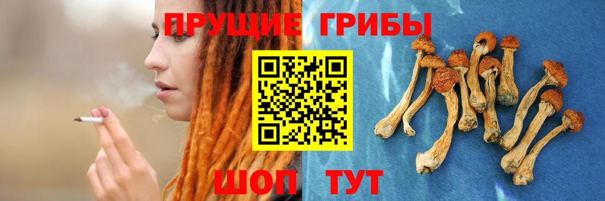 Псилоцибиновые грибы прущие грибы Десногорск